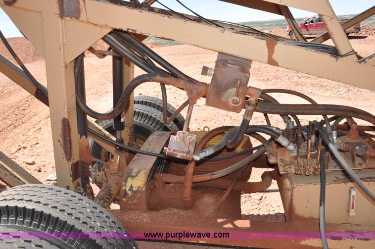 image for item F2001 Cay Manufacturing screen plant