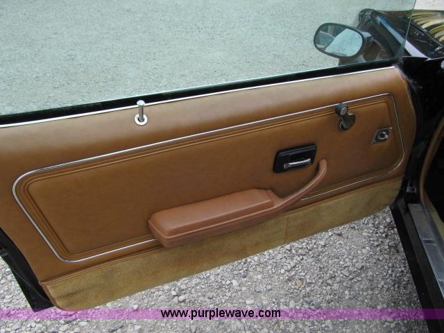 image for item F4941 1980 Pontiac Trans Am