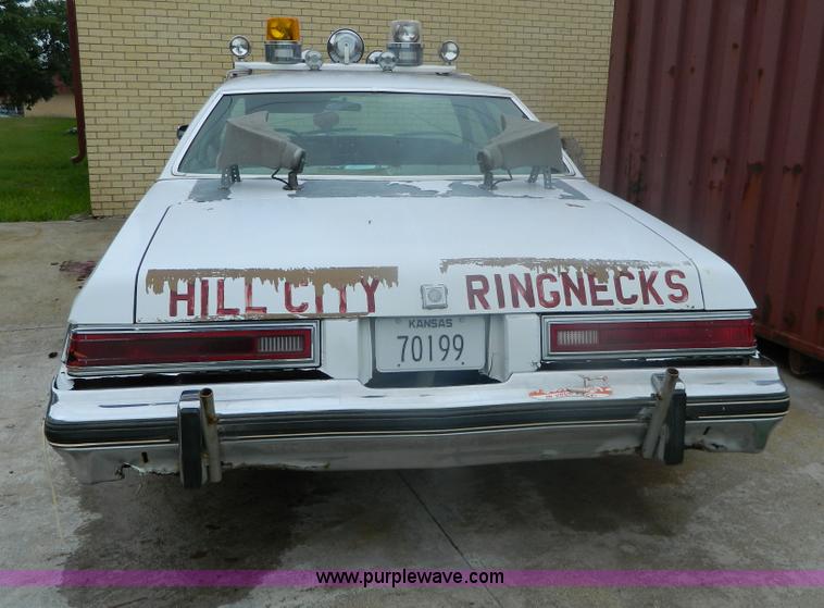 image for item AX9725 1976 Buick LeSabre