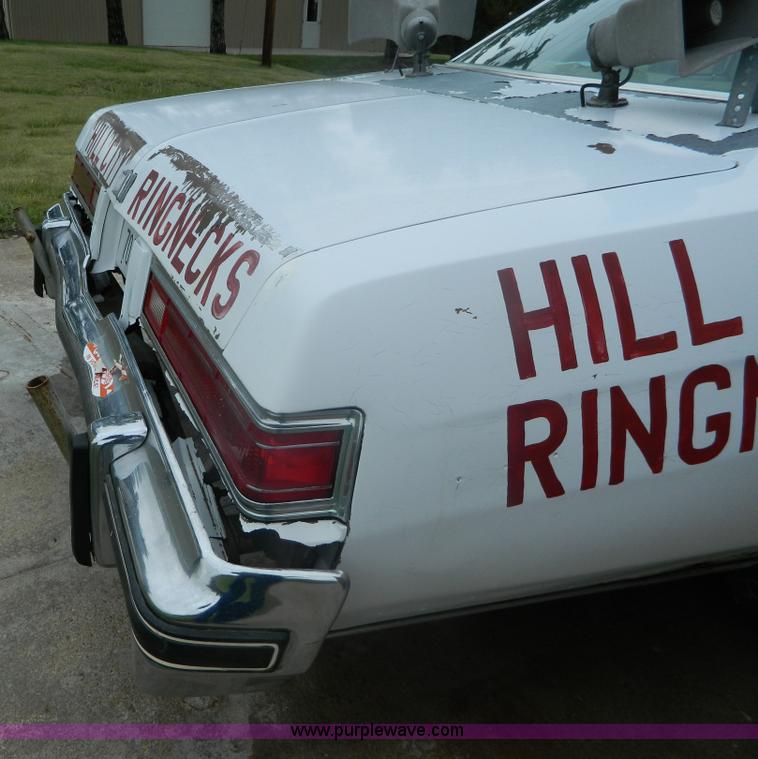 image for item AX9725 1976 Buick LeSabre