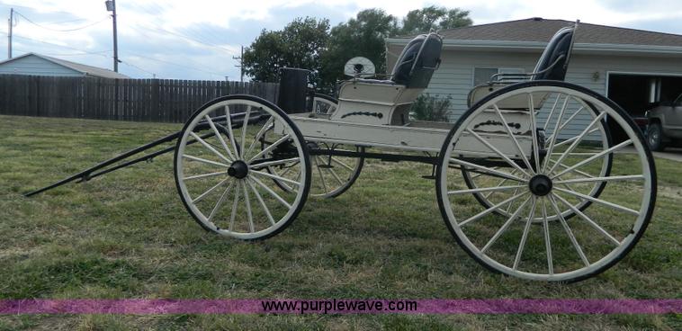 image for item AX9716 Surry horse drawn buggy