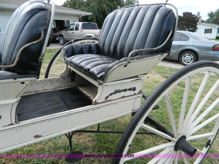 image for item AX9716 Surry horse drawn buggy