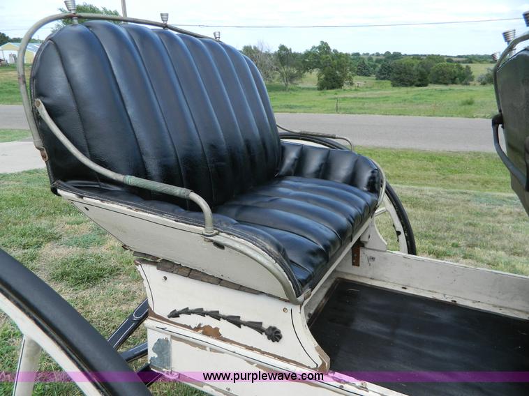 image for item AX9716 Surry horse drawn buggy