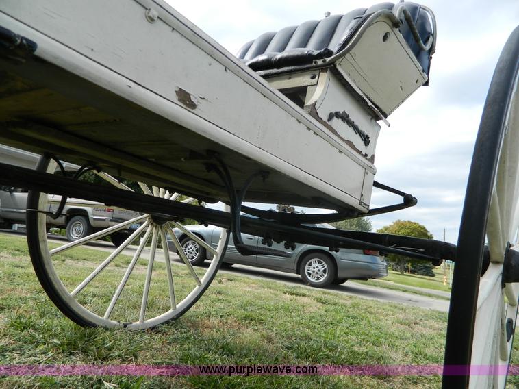 image for item AX9716 Surry horse drawn buggy