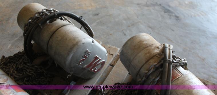 image for item F3299 (4) CM Load Star hoists