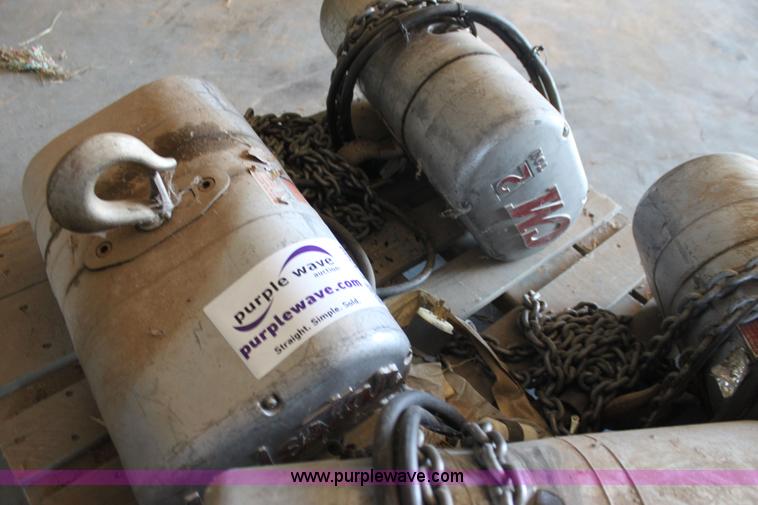 image for item F3299 (4) CM Load Star hoists