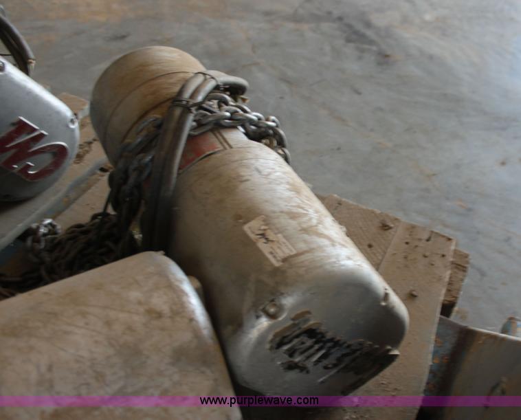 image for item F3299 (4) CM Load Star hoists