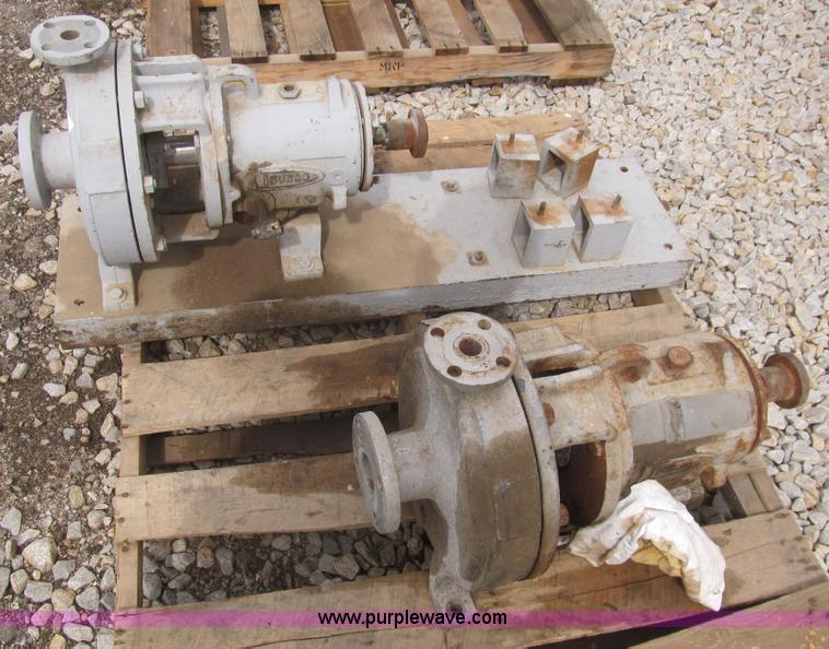 image for item H8847 (2) Durco pumps