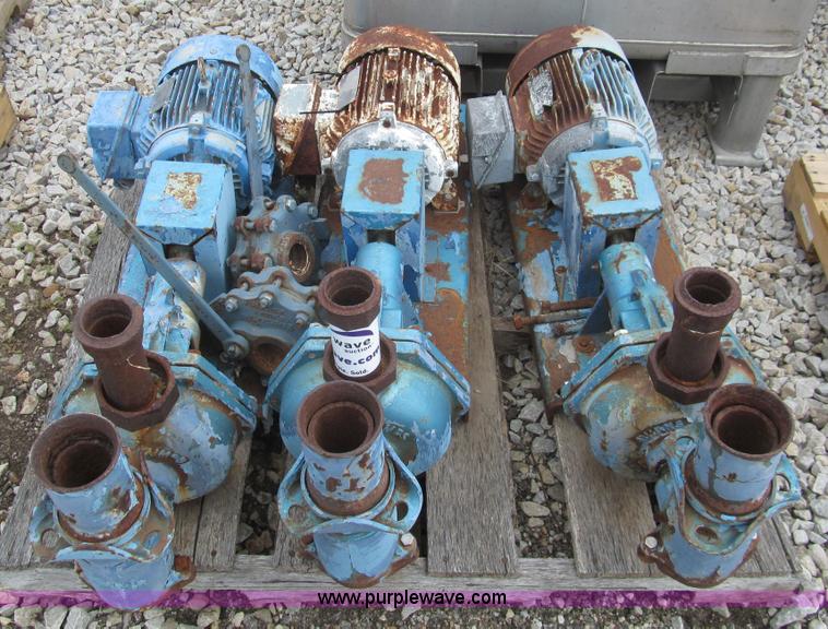 image for item H8849 (3) Burks pumps