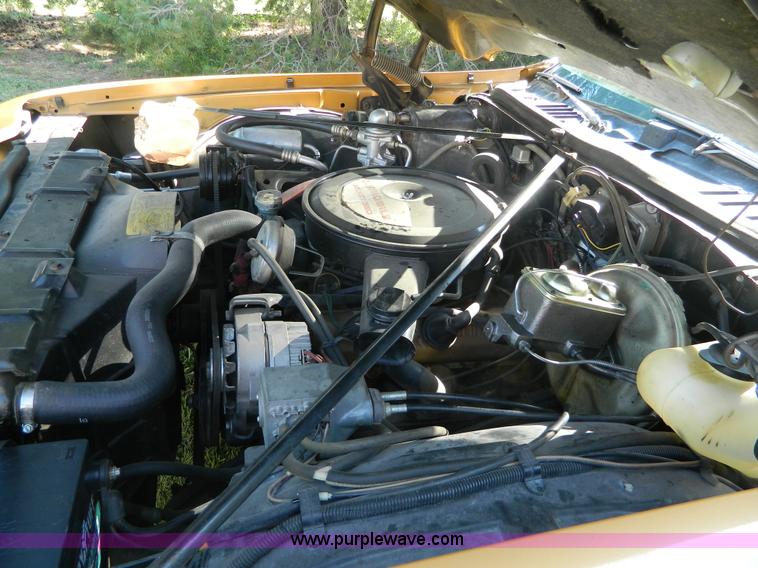 image for item AX9739 1973 Oldsmobile Cutlass Salon