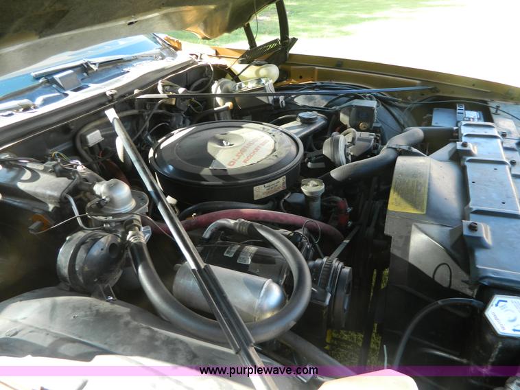 image for item AX9739 1973 Oldsmobile Cutlass Salon