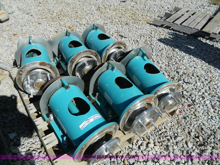 image for item AQ9431 (6) pumps