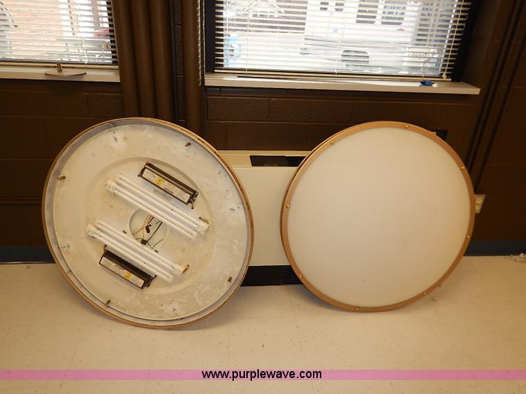image for item BC9994 (2) hanging ceiling lights