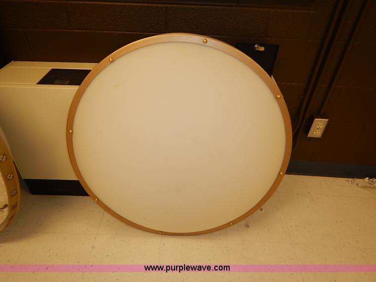 image for item BC9994 (2) hanging ceiling lights
