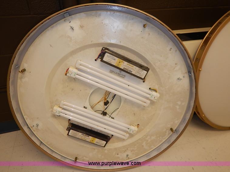 image for item BC9994 (2) hanging ceiling lights