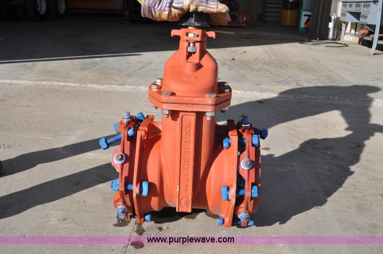 image for item F2121 (11) Waterous Co. American Flow Control fire main valves