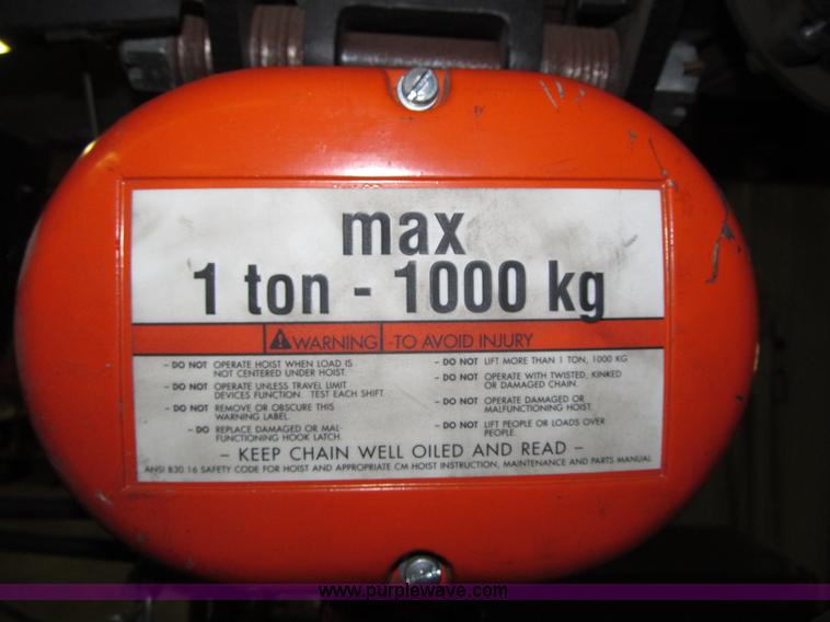 image for item F8940 CM Loadstar H crane hoist