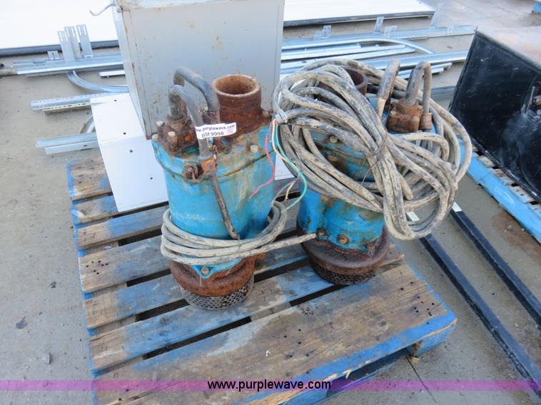 image for item BM9998 (2) Tsurumi pumps