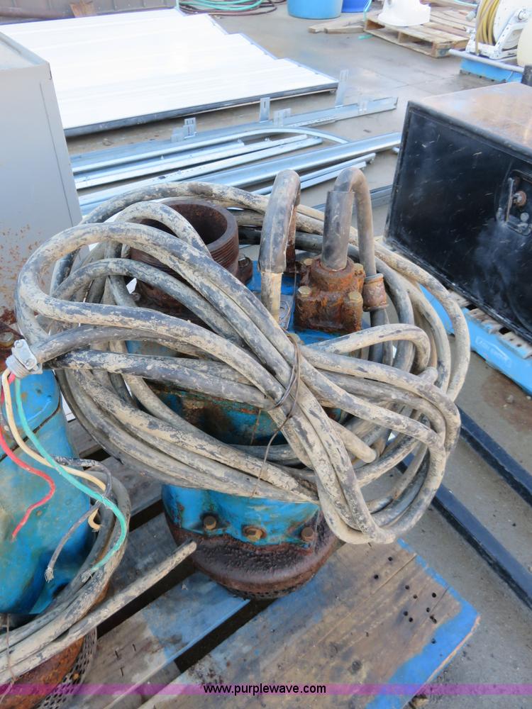 image for item BM9998 (2) Tsurumi pumps