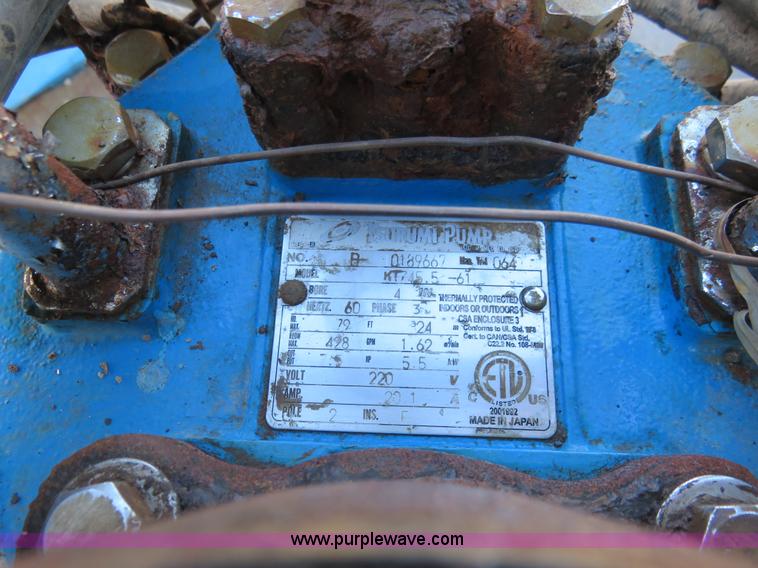 image for item BM9998 (2) Tsurumi pumps