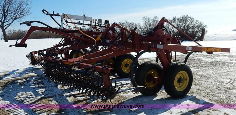 image for item I5119 Sunflower 3030-21 fallow master