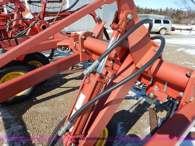 image for item I5119 Sunflower 3030-21 fallow master