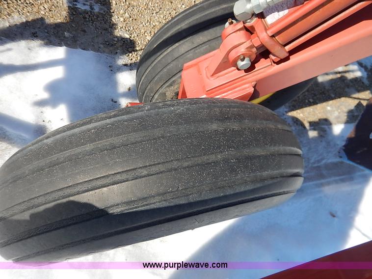 image for item I5119 Sunflower 3030-21 fallow master