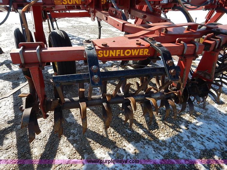 image for item I5119 Sunflower 3030-21 fallow master