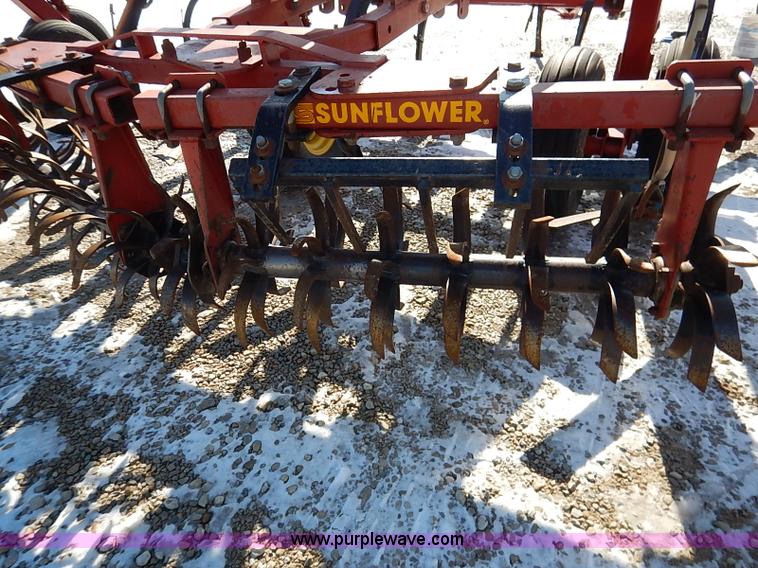 image for item I5119 Sunflower 3030-21 fallow master