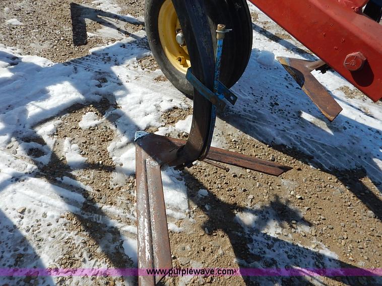 image for item I5119 Sunflower 3030-21 fallow master