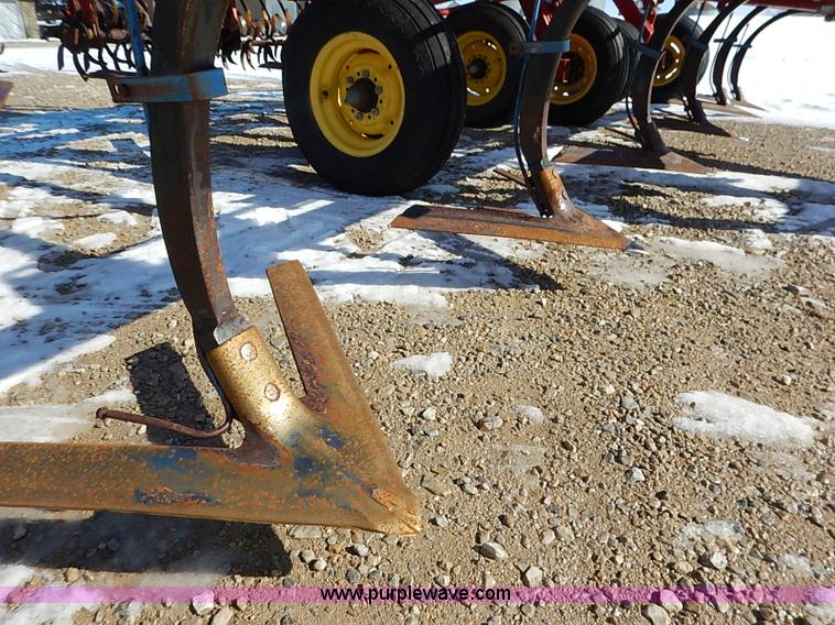 image for item I5119 Sunflower 3030-21 fallow master