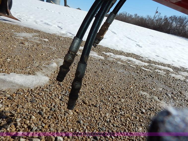 image for item I5119 Sunflower 3030-21 fallow master