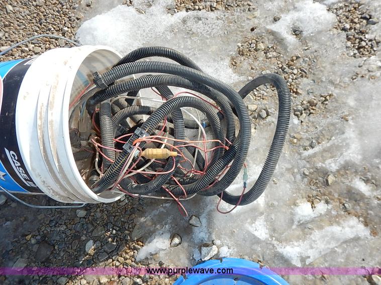 image for item I5119 Sunflower 3030-21 fallow master