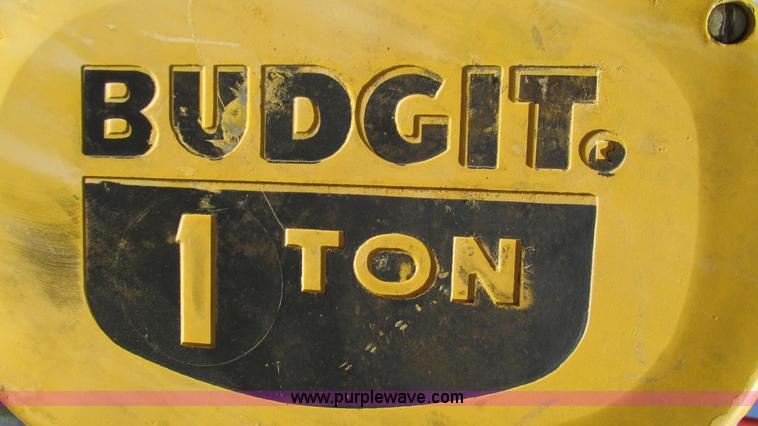 image for item AY9909 Budgit electric hoist