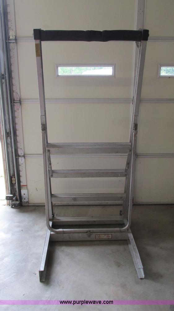 image for item AY9888 Fox platform ladder