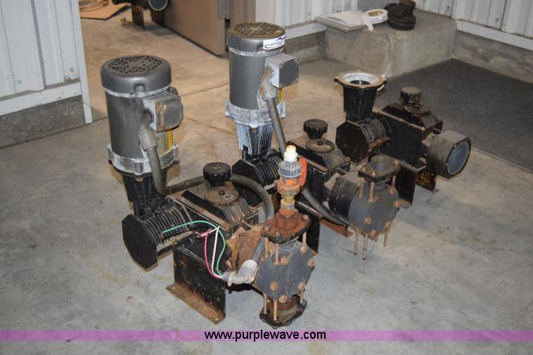 image for item BG9980 (8) Pulsar Shadow 25BB pumps