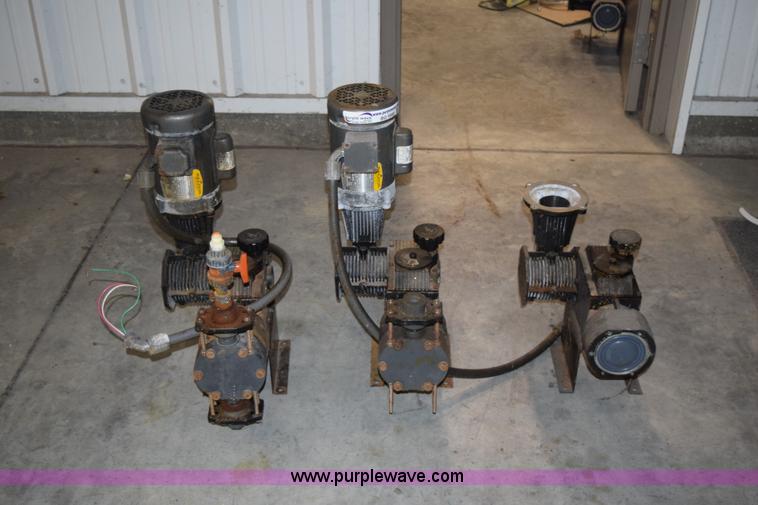 image for item BG9980 (8) Pulsar Shadow 25BB pumps