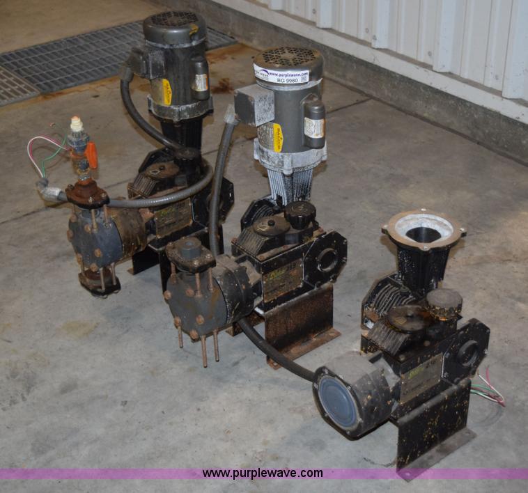 image for item BG9980 (8) Pulsar Shadow 25BB pumps