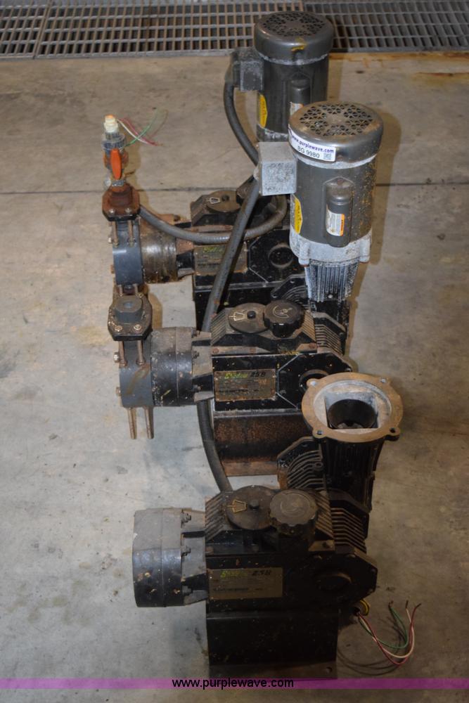 image for item BG9980 (8) Pulsar Shadow 25BB pumps