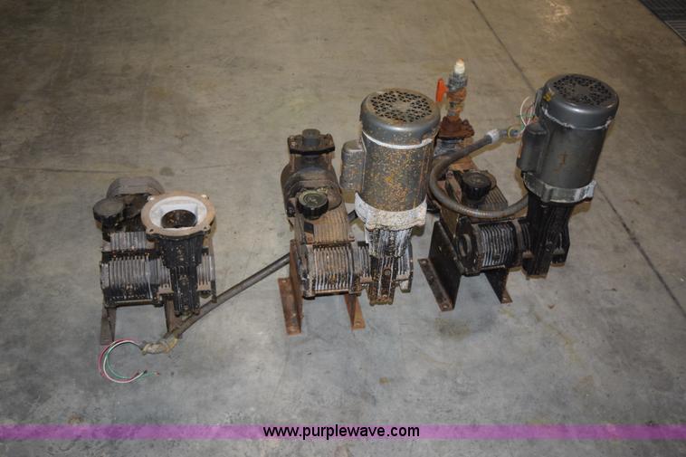 image for item BG9980 (8) Pulsar Shadow 25BB pumps