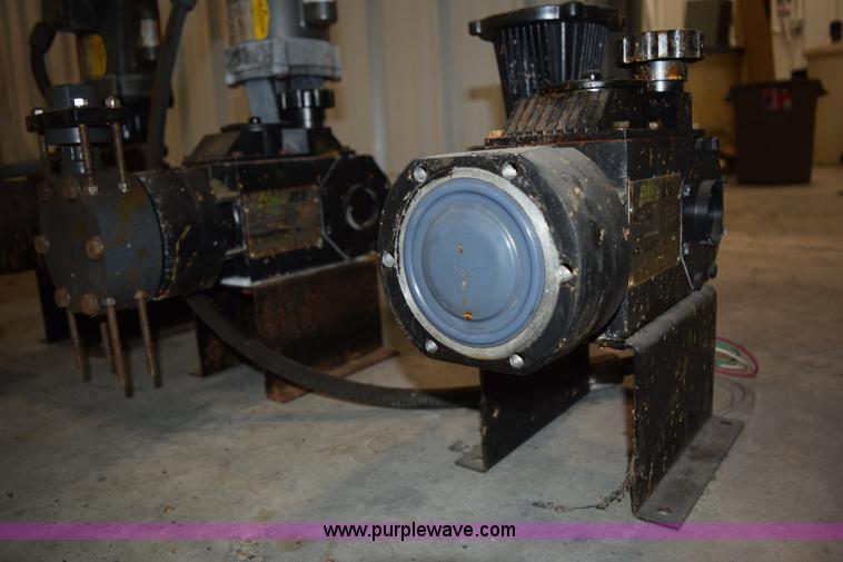 image for item BG9980 (8) Pulsar Shadow 25BB pumps