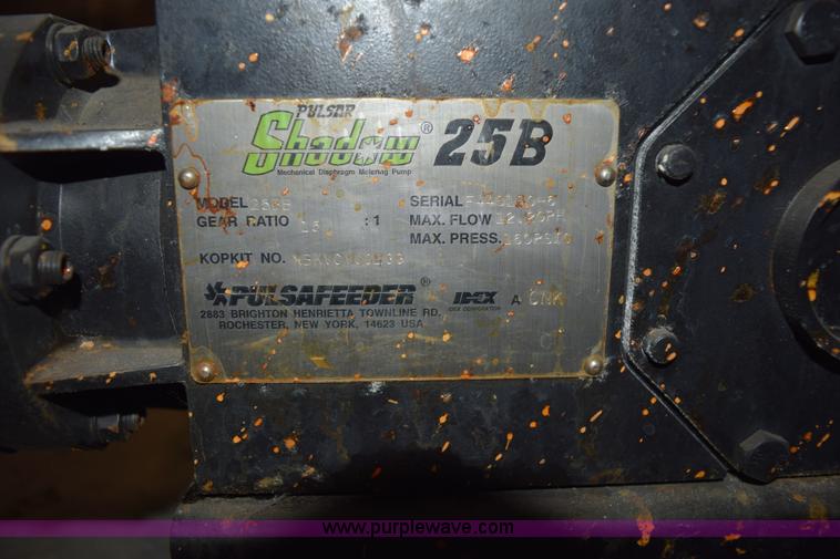 image for item BG9980 (8) Pulsar Shadow 25BB pumps