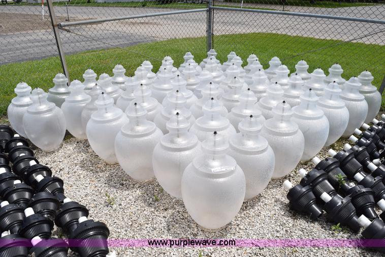 image for item BG9995 (51) Victorian style globes