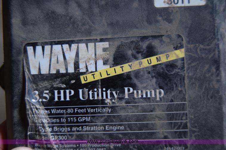 image for item BP9022 (3) utility pumps