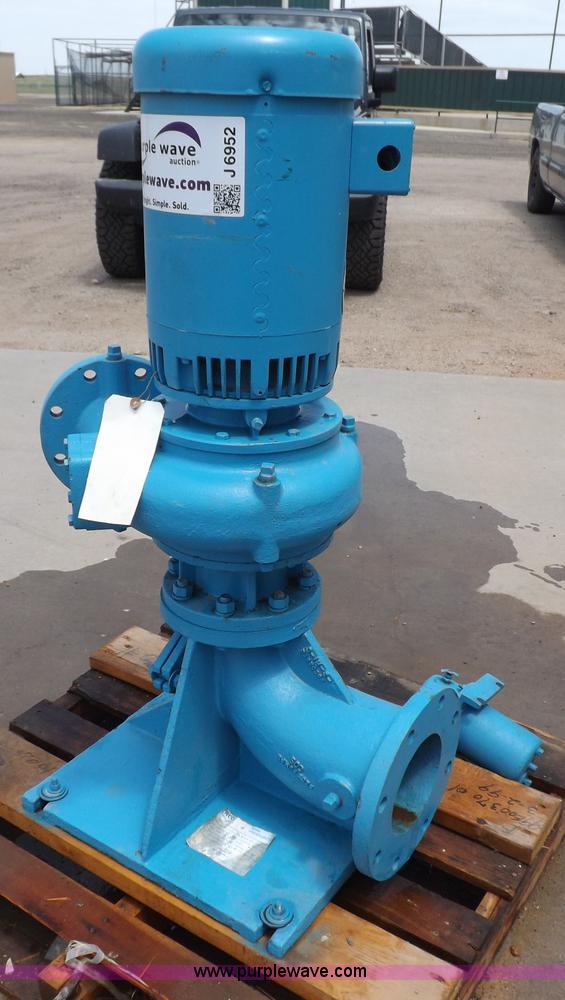 image for item J6952 Paco 4" x 6" vertical inline smart pump