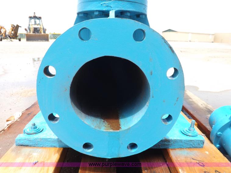 image for item J6952 Paco 4" x 6" vertical inline smart pump