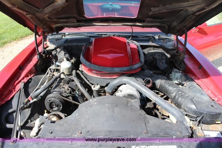 image for item BB9474 1979 Pontiac Trans Am