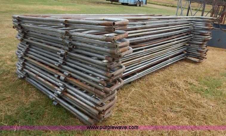 image for item BH9975 (22) cattle panels