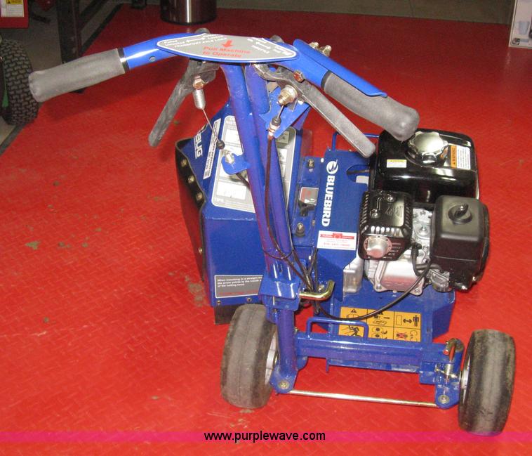 image for item BP9739 Blue Bird Bed Bug landscape edger