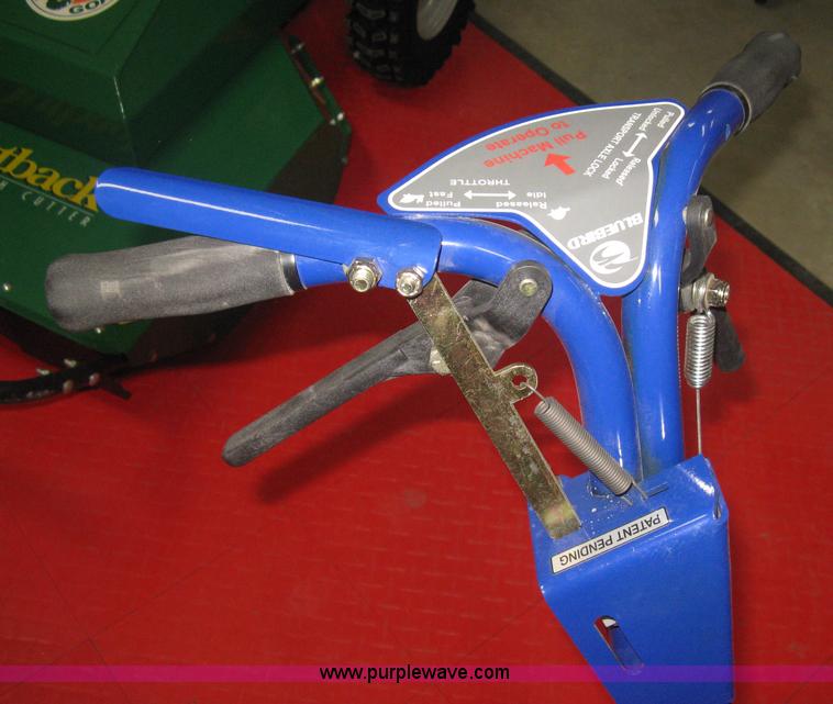 image for item BP9739 Blue Bird Bed Bug landscape edger